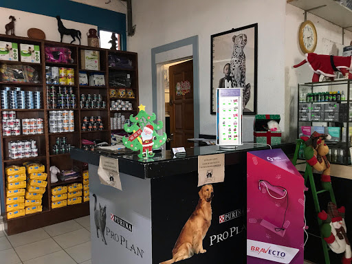 Clinica Veterinaria El Rodeo