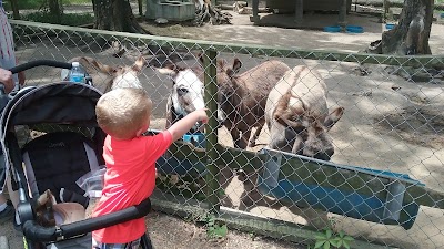 Photos of Waccatee Zoological Farm