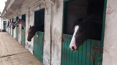 Photos of Club Hippique