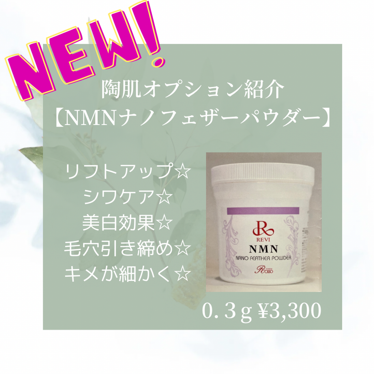 REVI ルヴィ NMNナノフェザーパウダー（50g）専用スプーン付次回割引有