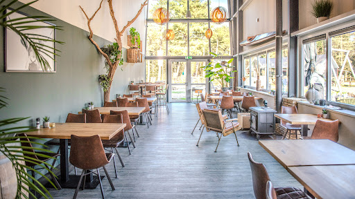 Café Zero - Visual