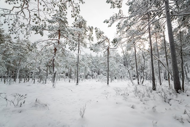 Tiveden National Park