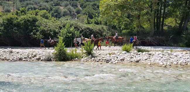 Restaurant Acheron Springs-Markou Ilias - Εστιατόριο