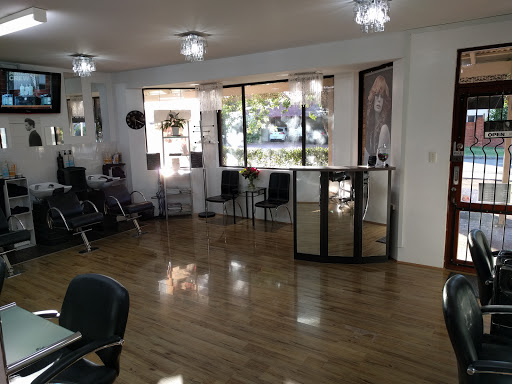 Elite Monde Hair Stylists at Cheveux by Anthony Gallery - Australia