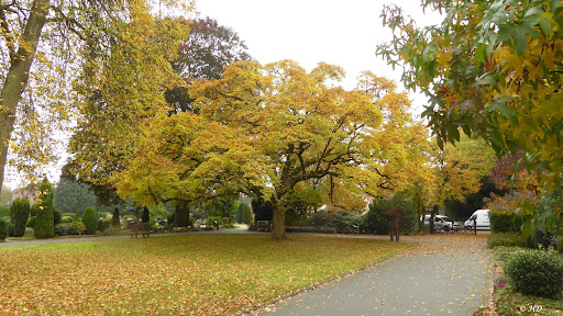Ev.-ref. Friedhof Heseper Weg - Thumbnail