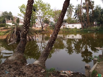 Photos of Magur Maser Pukur