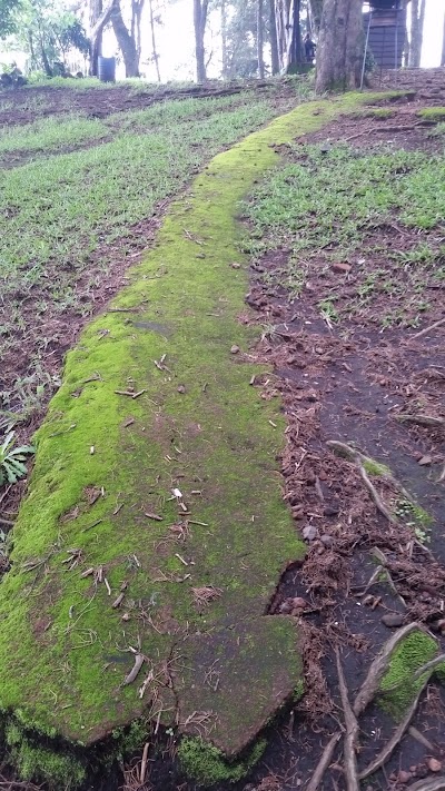 Photos of Fraijanes forests