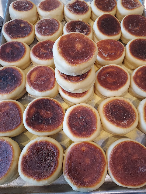 The Black Cat by null