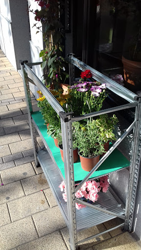 Floristeria Los Jardines