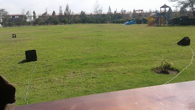 Photos of Sunflower Garden