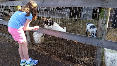 Photos of Hidden Valley Fruit Farm