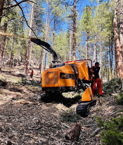 Forestwerx