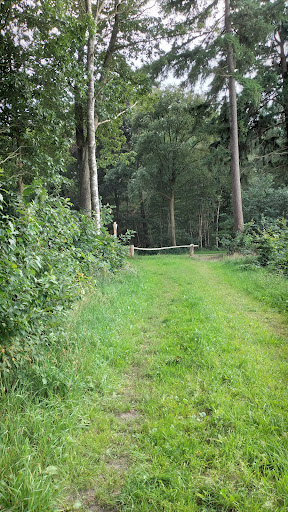 Callunapark - Visual