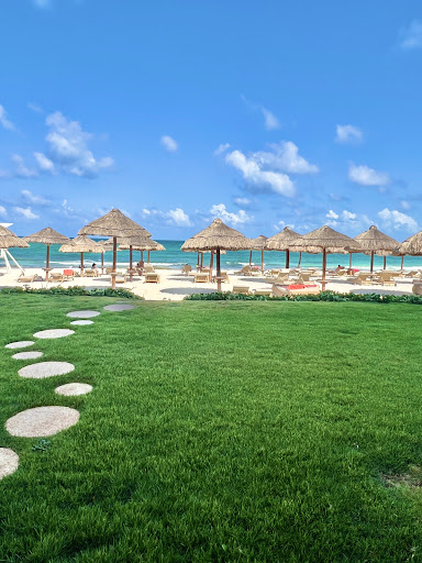 Accommodating Travel LLC - Thumbnail