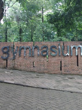 Gymnasium Universitas Indonesia, Author: Dida Abdurahim