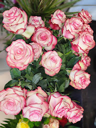 Photo n°10 de C'est Des fleurs à Écueillé (Fleuriste)