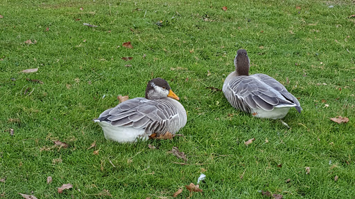 Photo de Le Soleil Du Yet
