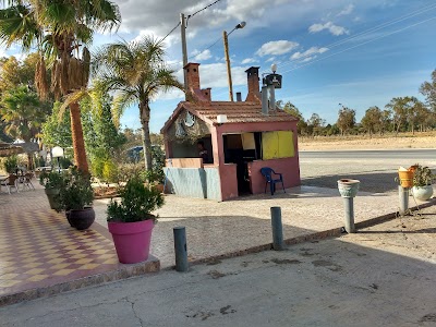 Photos of باحة النخيل | Complexe Ennakhil