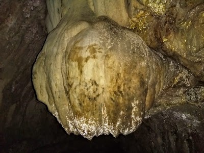Photos of Dzudzuana Cave