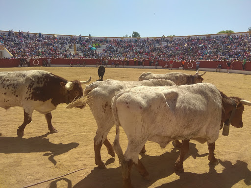 Plaza de Toros de Santisteban del Puerto - Thumbnail