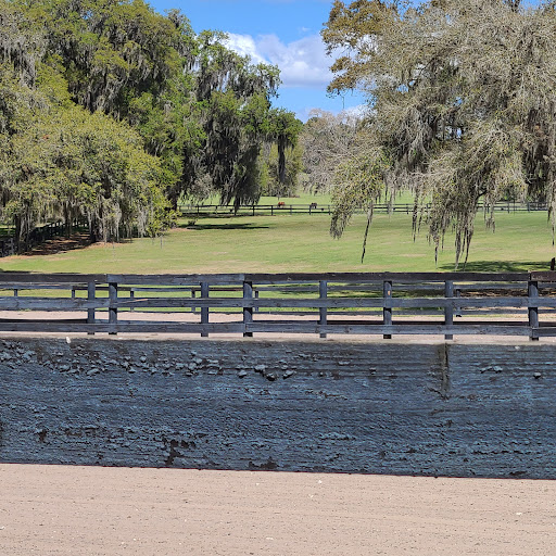 Colonial Downs Training Center Gallery - United States