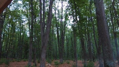 Photos of Komsomolskoe