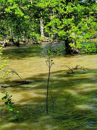 Arkabutla Lake