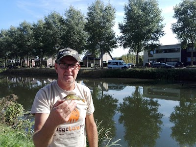 Photos of Carpcube