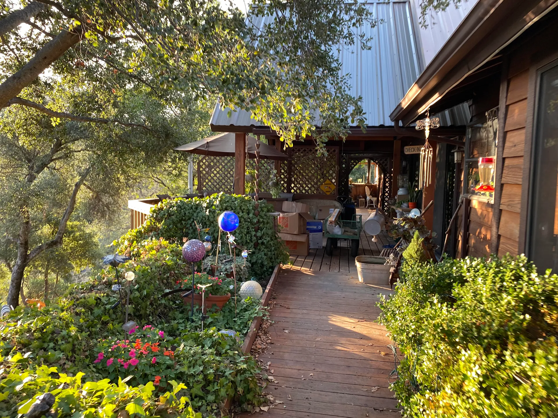 Wikiup Hummingbird Hotel