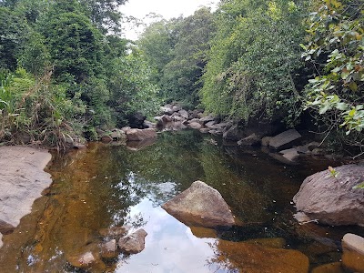 Photos of Aranya Senasanaya