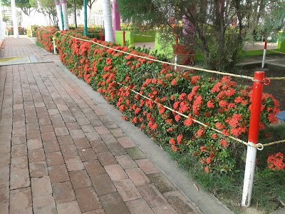 Photos of Los Coralitos Park