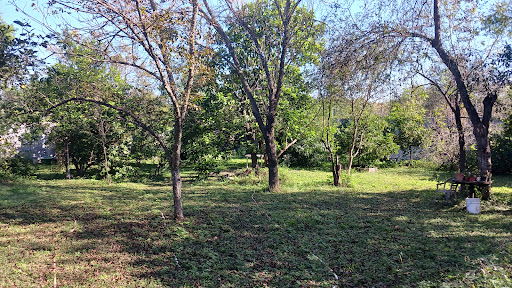 Quinta las Cuatas Rentería Gallery - Mexico