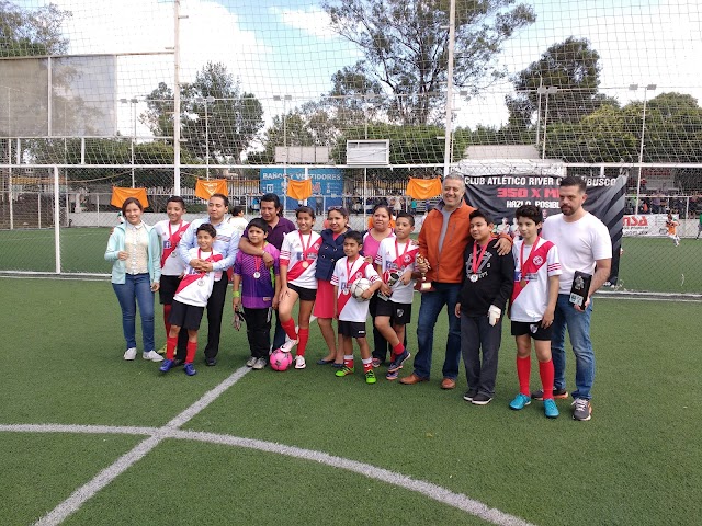 Liga de Futbol 7 Alberca Olimpica