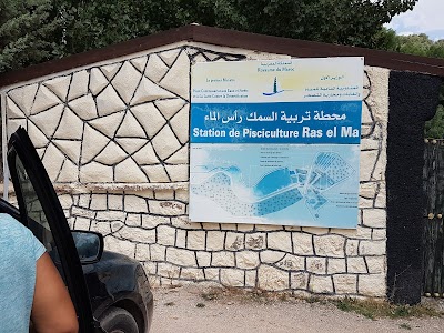 Photos of Station de Pisciculture Ras Elma