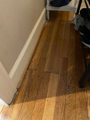 Squeaky Club Gallery - United States