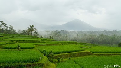 Photos of Ti Amo Bali