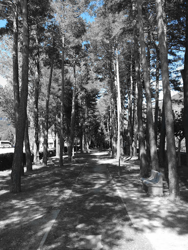 Parque Skate - Visual