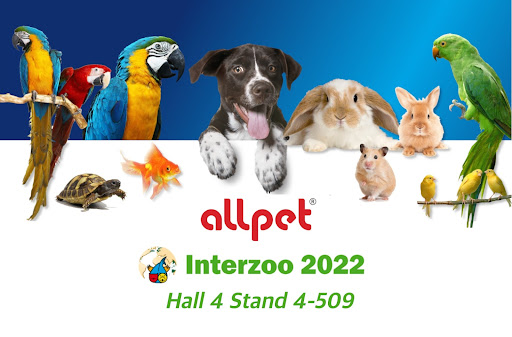 All Pet - Visual