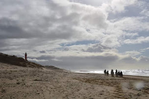 Photo n°2 de Les écuries de la champagne à Saint-Fort-sur-le-Né (Centre de randonnée équestre)