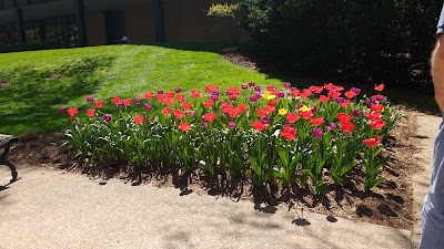 Photos of Duquesne University