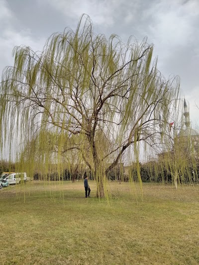 Photos of Ekin Otomotiv