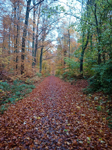 Seeweg - Thumbnail