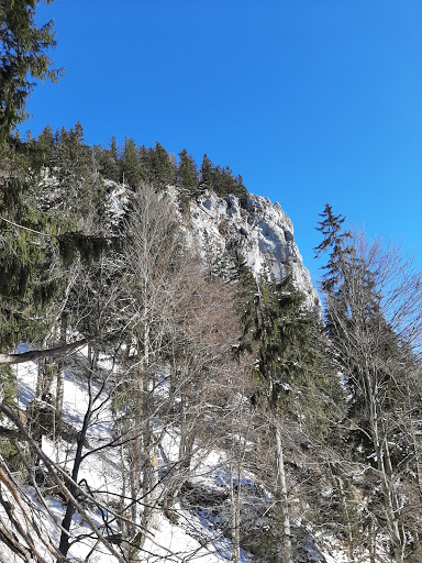 Lux (Luchs) - Visual