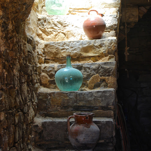 Antic celler - Visual