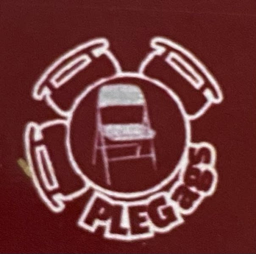 Plegags Aguascalientes - Visual