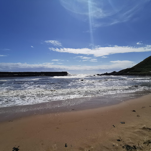 Collieston harbour - Thumbnail