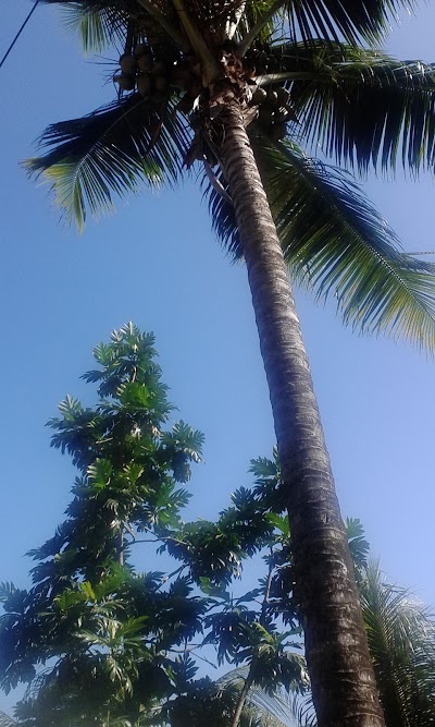 Photos of Boca Secondary School