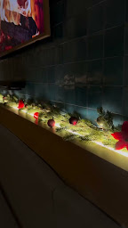 Photo n°27 de Chez Riton à Six-Fours-les-Plages (Restaurant)