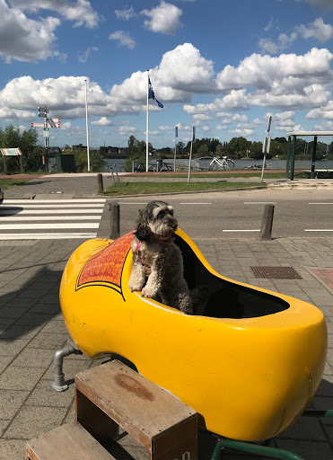 Dierenkliniek Loosdrecht