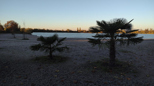 Parkplatz Altrheinsee
